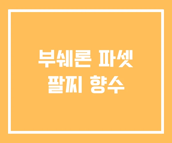 부쉐론 파셋 팔찌 향수