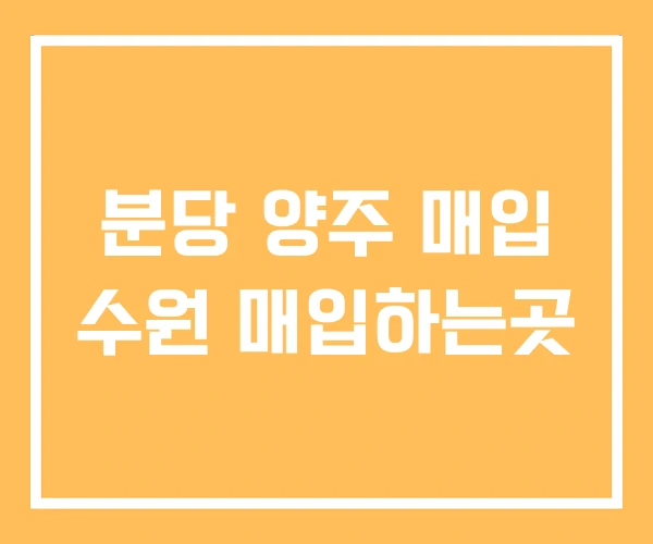 분당 양주 매입 수원 매입하는곳