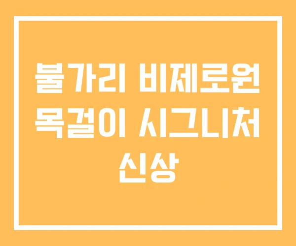 불가리 비제로원 목걸이 시그니처 신상 불가리 비제로원 목걸이 시그니처 신상