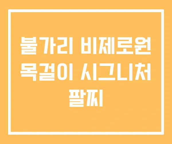 불가리 비제로원 목걸이 시그니처 팔찌 불가리 비제로원 목걸이 시그니처 팔찌