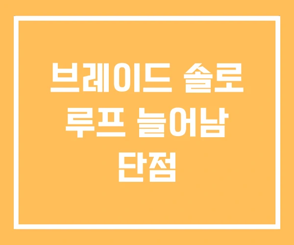 브레이드 솔로 루프 늘어남 단점 브레이드 솔로 루프 늘어남 단점
