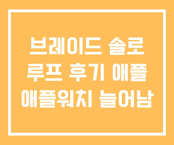 브레이드 솔로 루프 후기 애플 애플워치 늘어남 브레이드 솔로 루프 후기 애플 애플워치 늘어남