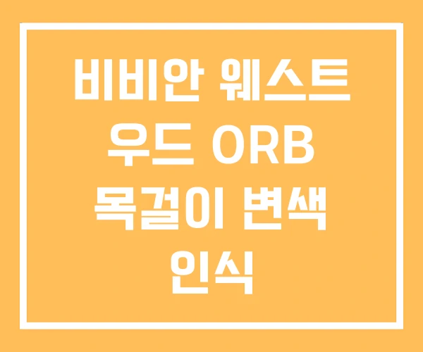 비비안 웨스트 우드 ORB 목걸이 변색 인식 비비안 웨스트 우드 ORB 목걸이 변색 인식