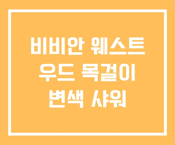 비비안 웨스트 우드 목걸이 변색 샤워 비비안 웨스트 우드 목걸이 변색 샤워