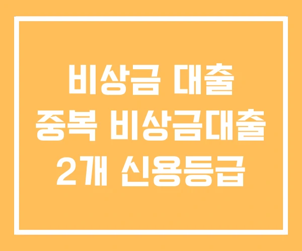 비상금 대출 중복 비상금대출 2개 신용등급 비상금 대출 중복 비상금대출 2개 신용등급