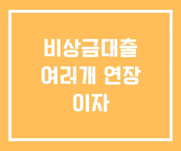 비상금대출 여러개 연장 이자 비상금대출 여러개 연장 이자