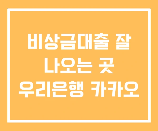 비상금대출 잘 나오는 곳 우리은행 카카오
