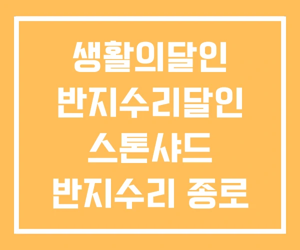 생활의달인 반지수리달인 스톤샤드 반지수리 종로