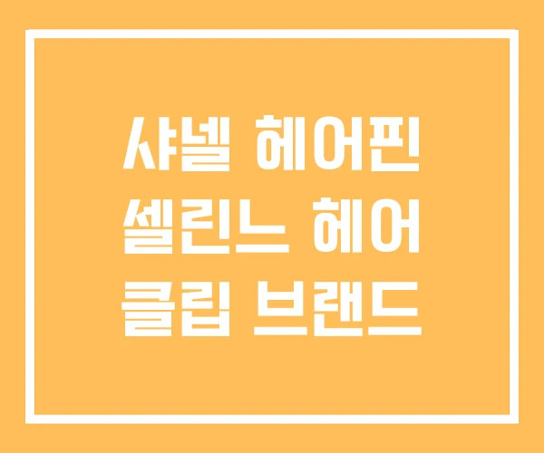 샤넬 헤어핀 셀린느 헤어 클립 브랜드