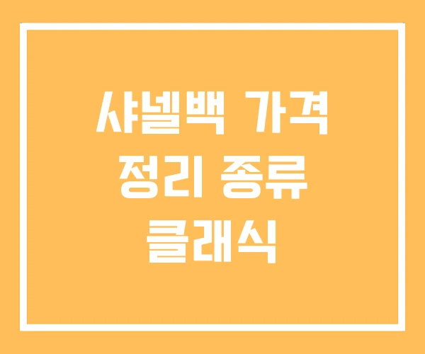 샤넬백 가격 정리 종류 클래식 샤넬백 가격 정리 종류 클래식