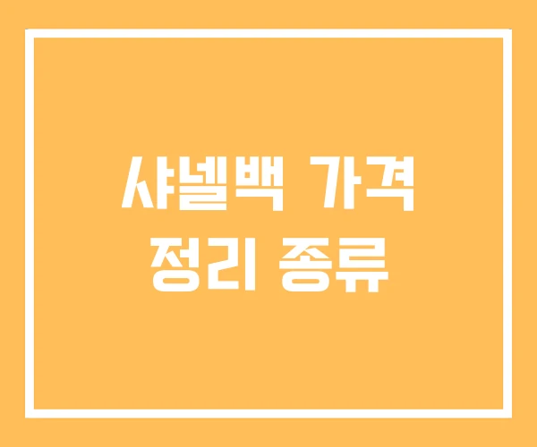 샤넬백 가격 정리 종류 샤넬백 가격 정리 종류