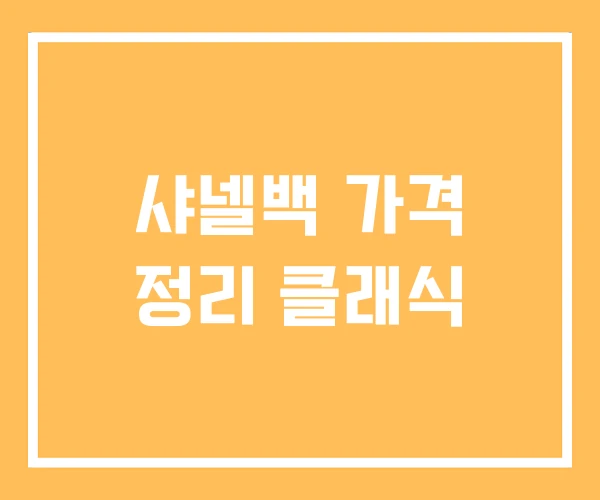 샤넬백 가격 정리 클래식 샤넬백 가격 정리 클래식