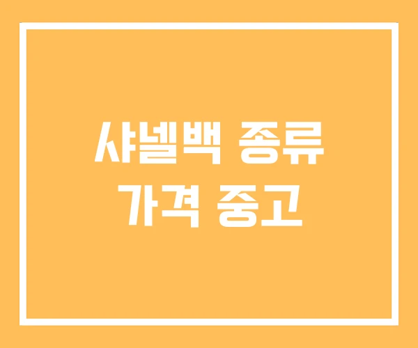 샤넬백 종류 가격 중고 샤넬백 종류 가격 중고