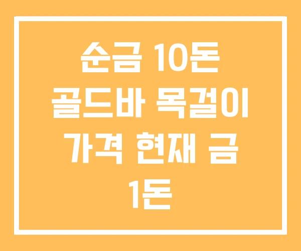 순금 10돈 골드바 목걸이 가격 현재 금 1돈
