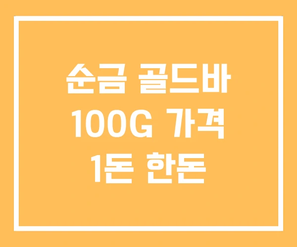 순금 골드바 100G 가격 1돈 한돈 순금 골드바 100G 가격 1돈 한돈