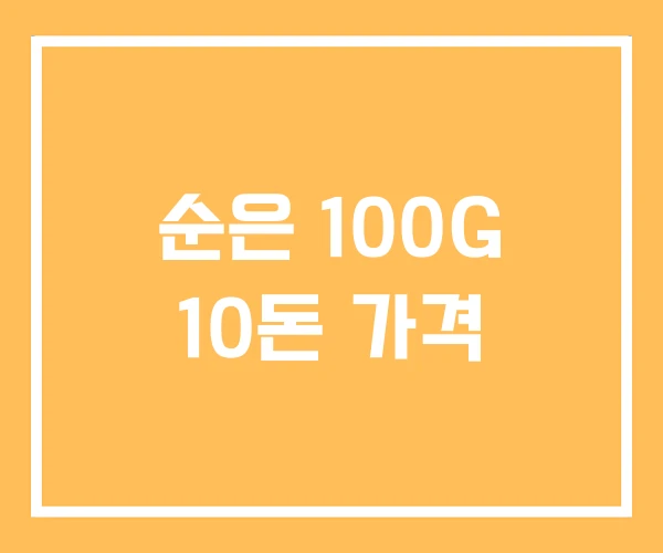 순은 100G 10돈 가격 순은 100G 10돈 가격