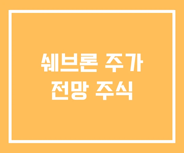 쉐브론 주가 전망 주식 쉐브론 주가 전망 주식