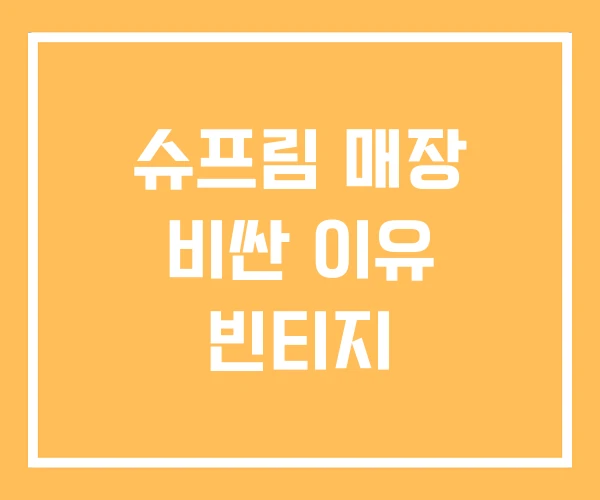 슈프림 매장 비싼 이유 빈티지 슈프림 매장 비싼 이유 빈티지