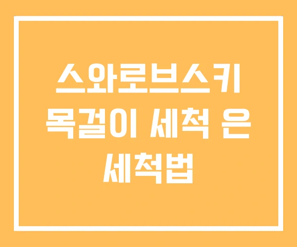 스와로브스키 목걸이 세척 은 세척법
