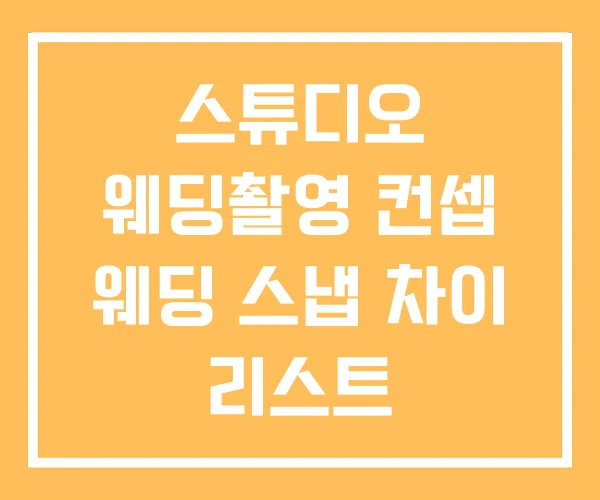 스튜디오 웨딩촬영 컨셉 웨딩 스냅 차이 리스트 스튜디오 웨딩촬영 컨셉 웨딩 스냅 차이 리스트