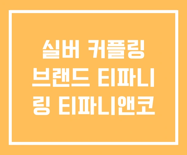 실버 커플링 브랜드 티파니 링 티파니앤코 실버 커플링 브랜드 티파니 링 티파니앤코