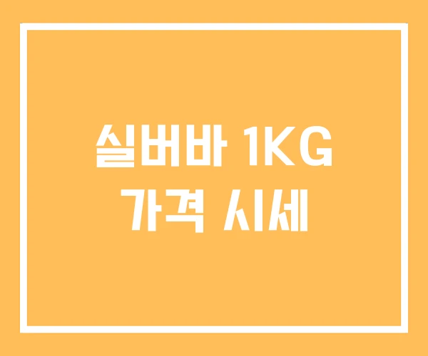 실버바 1KG 가격 시세 실버바 1KG 가격 시세
