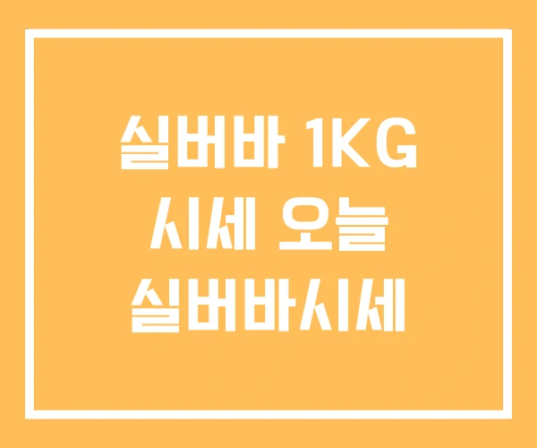 실버바 1KG 시세 오늘 실버바시세 실버바 1KG 시세 오늘 실버바시세
