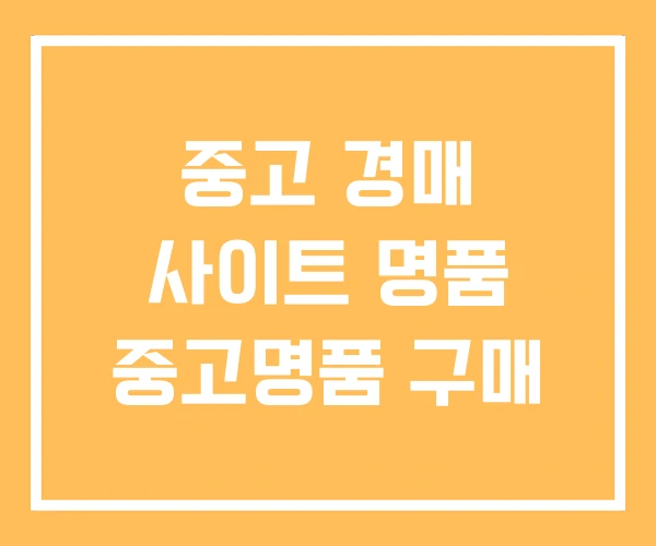 중고 경매 사이트 명품 중고명품 구매 중고 경매 사이트 명품 중고명품 구매