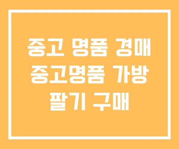 중고 명품 경매 중고명품 가방 팔기 구매 중고 명품 경매 중고명품 가방 팔기 구매