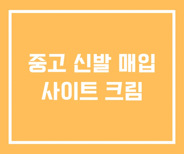 중고 신발 매입 사이트 크림 중고 신발 매입 사이트 크림