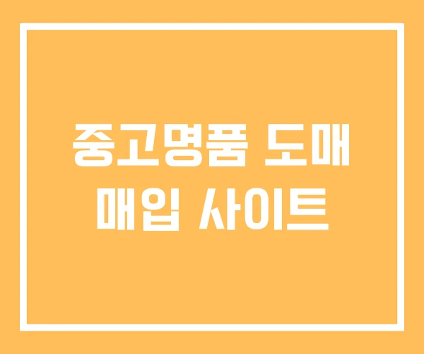 중고명품 도매 매입 사이트 중고명품 도매 매입 사이트