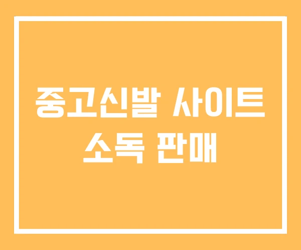 중고신발 사이트 소독 판매 중고신발 사이트 소독 판매