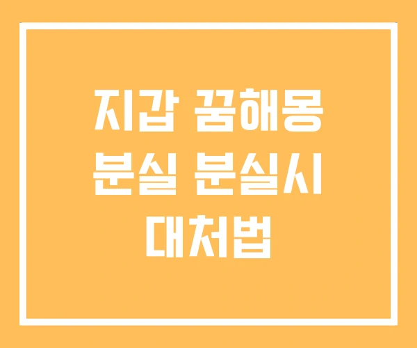 지갑 꿈해몽 분실 분실시 대처법 지갑 꿈해몽 분실 분실시 대처법