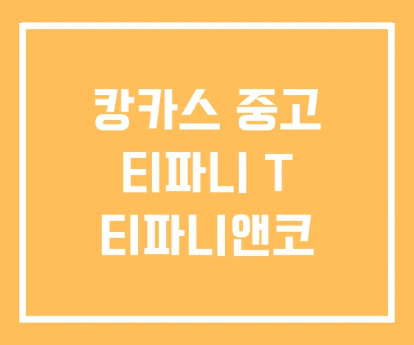 캉카스 중고 티파니 T 티파니앤코
