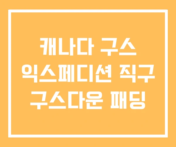 캐나다 구스 익스페디션 직구 구스다운 패딩