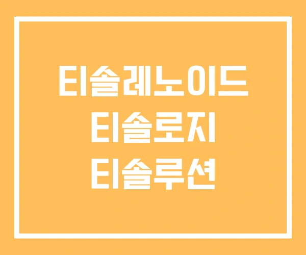 티솔레노이드 티솔로지 티솔루션 티솔레노이드 티솔로지 티솔루션