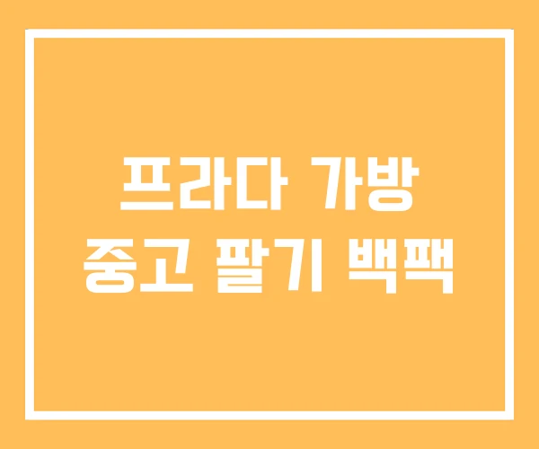 프라다 가방 중고 팔기 백팩 프라다 가방 중고 팔기 백팩