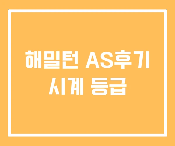 해밀턴 AS후기 시계 등급 해밀턴 AS후기 시계 등급