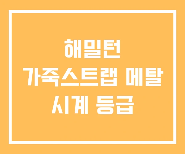 해밀턴 가죽스트랩 메탈 시계 등급