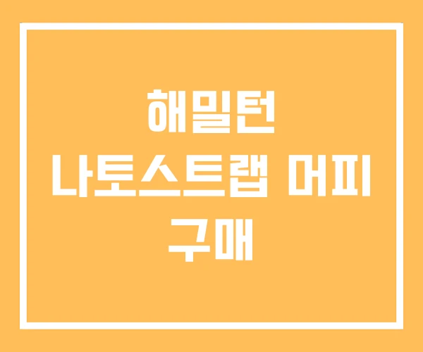 해밀턴 나토스트랩 머피 구매 해밀턴 나토스트랩 머피 구매