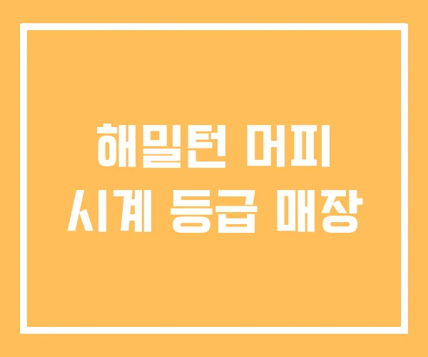 해밀턴 머피 시계 등급 매장 해밀턴 머피 시계 등급 매장