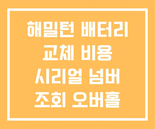 해밀턴 배터리 교체 비용 시리얼 넘버 조회 오버홀