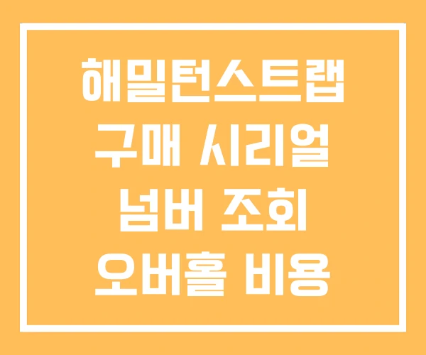해밀턴스트랩 구매 시리얼 넘버 조회 오버홀 비용